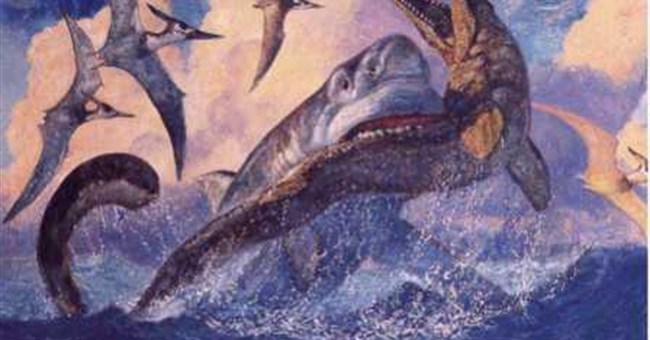 Cú đớp của cá mập cổ đại còn uy lực hơn cả khủng long T. rex